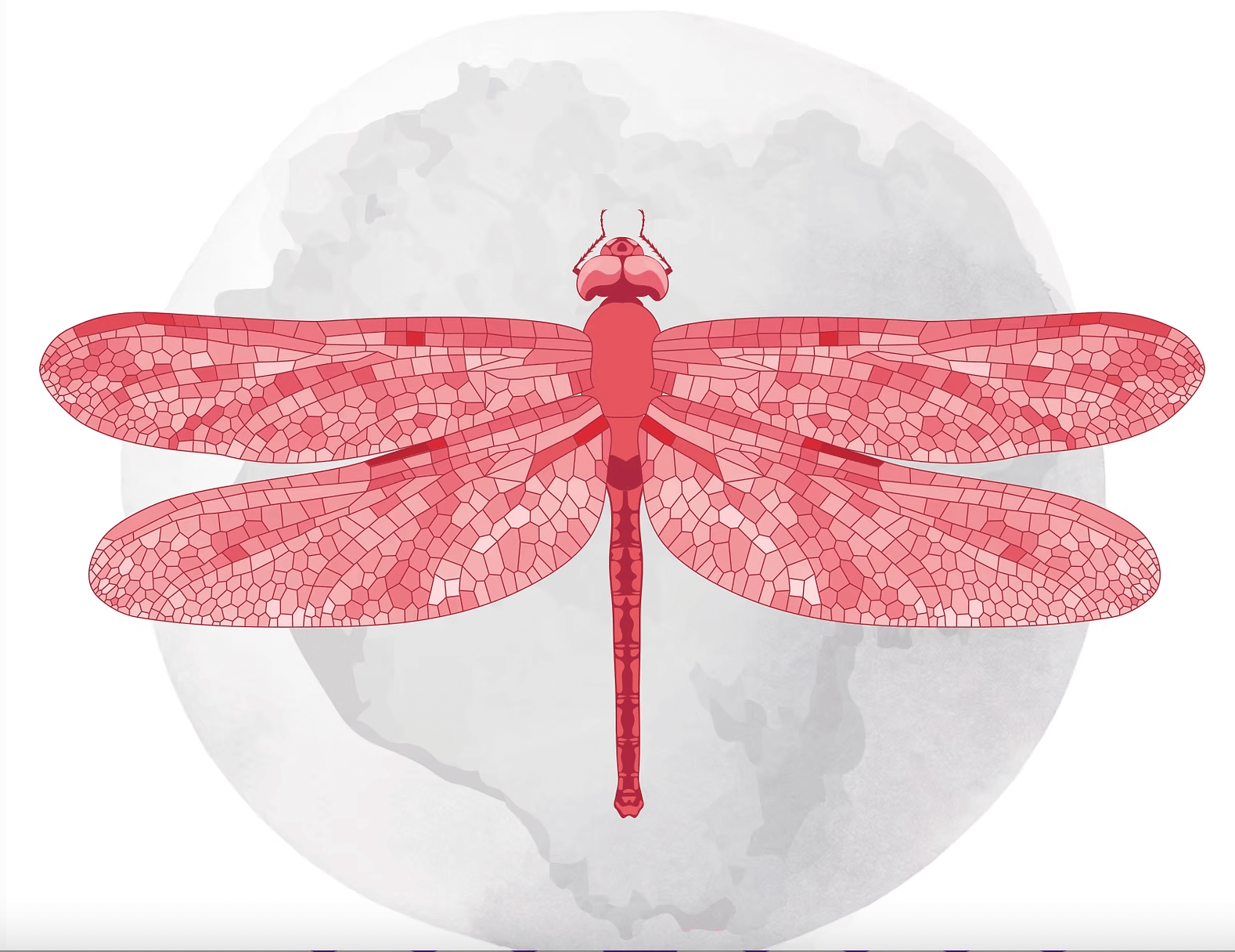 Tul'ix Indigenous Arts